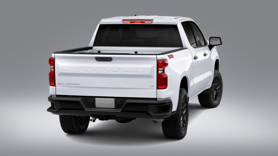 2023 Chevrolet Silverado 1500 Vehicle Photo in POOLER, GA 31322-3252