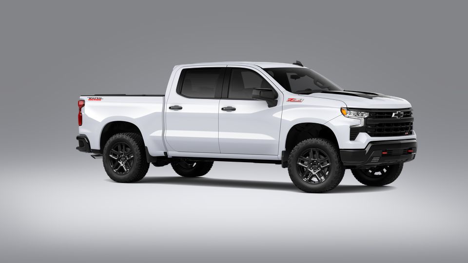 2023 Chevrolet Silverado 1500 Vehicle Photo in POOLER, GA 31322-3252