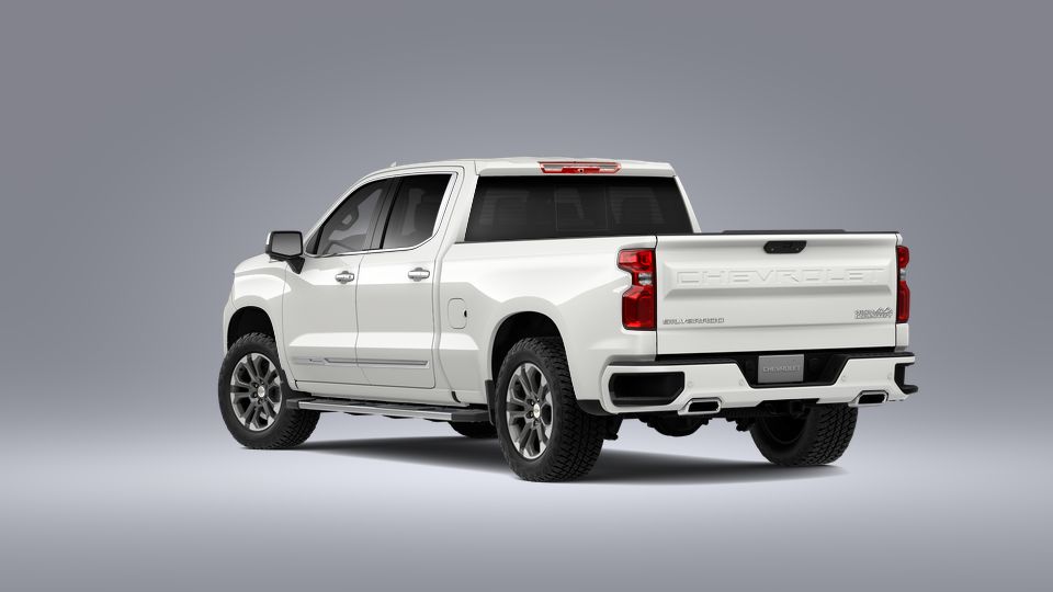 2023 Chevrolet Silverado 1500 Vehicle Photo in POOLER, GA 31322-3252