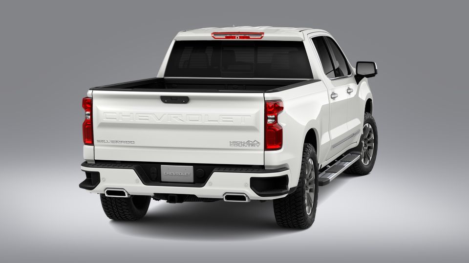 2023 Chevrolet Silverado 1500 Vehicle Photo in POOLER, GA 31322-3252