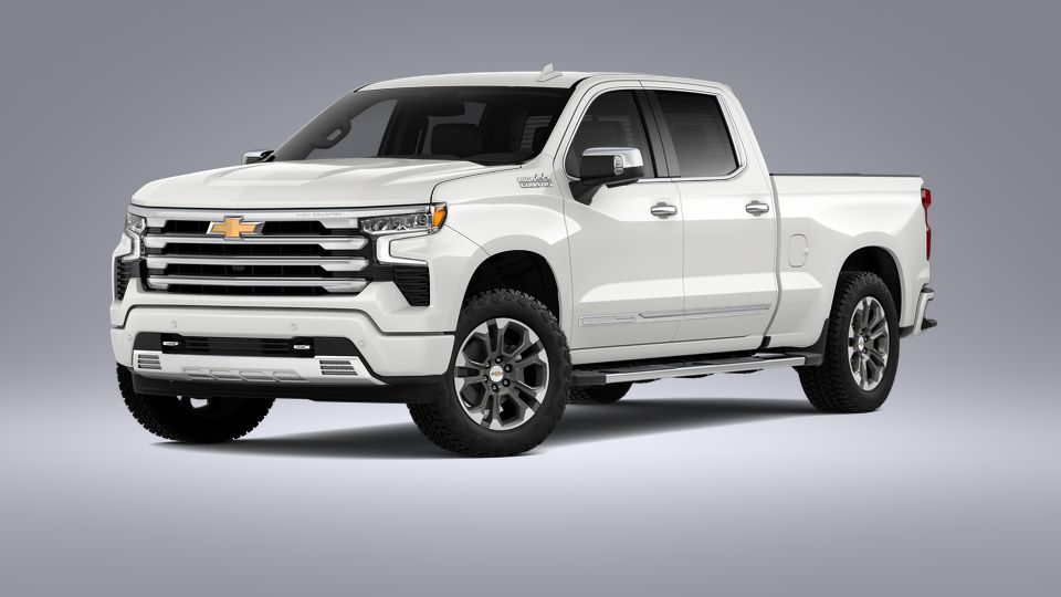 2023 Chevrolet Silverado 1500 Vehicle Photo in POOLER, GA 31322-3252