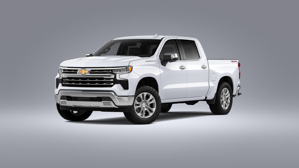 2023 Chevrolet Silverado 1500 Vehicle Photo in SELMA, TX 78154-1459