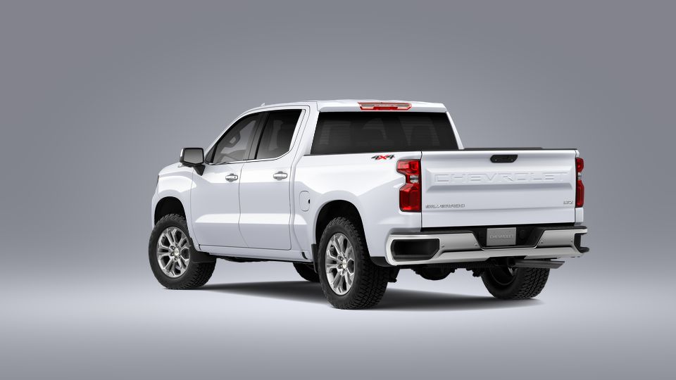 2023 Chevrolet Silverado 1500 Vehicle Photo in SELMA, TX 78154-1459