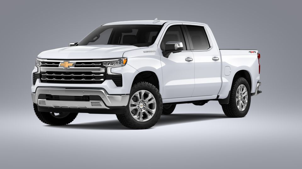 2023 Chevrolet Silverado 1500 Vehicle Photo in SELMA, TX 78154-1459