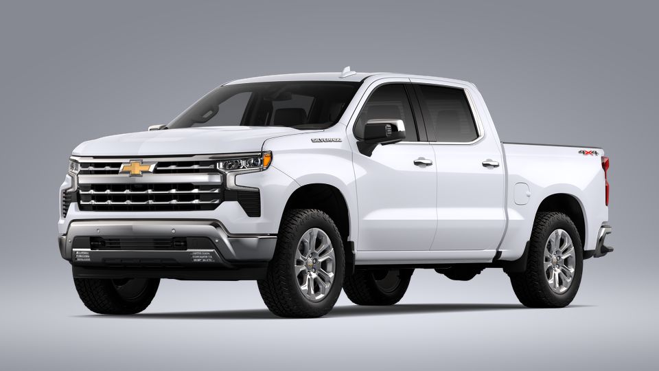 2023 Chevrolet Silverado 1500 Vehicle Photo in SELMA, TX 78154-1459