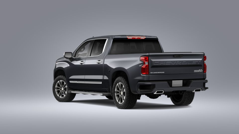2023 Chevrolet Silverado 1500 Vehicle Photo in Decatur, TX 76234