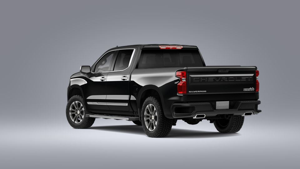 2023 Chevrolet Silverado 1500 Vehicle Photo in POOLER, GA 31322-3252