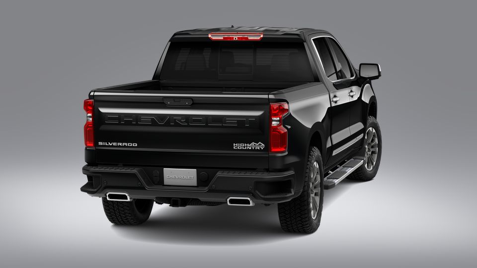 2023 Chevrolet Silverado 1500 Vehicle Photo in POOLER, GA 31322-3252