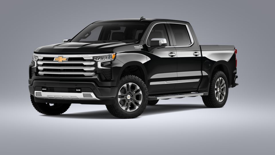2023 Chevrolet Silverado 1500 Vehicle Photo in POOLER, GA 31322-3252