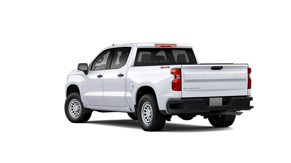 2024 Chevrolet Silverado 1500 Vehicle Photo in POOLER, GA 31322-3252