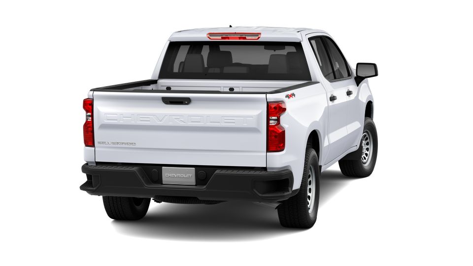 2024 Chevrolet Silverado 1500 Vehicle Photo in POOLER, GA 31322-3252