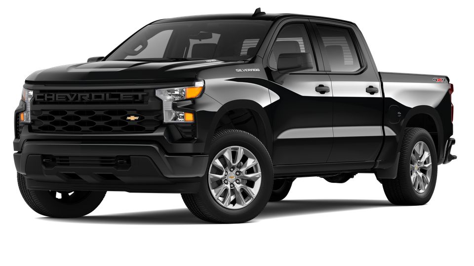 2024 Chevrolet Silverado 1500 Vehicle Photo in POOLER, GA 31322-3252
