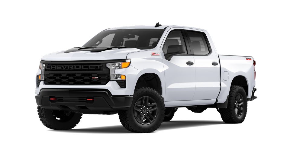 2024 Chevrolet Silverado 1500 Vehicle Photo in BRUNSWICK, GA 31525-1881