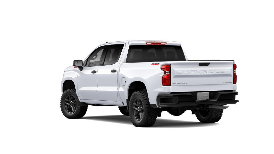 2024 Chevrolet Silverado 1500 Vehicle Photo in BRUNSWICK, GA 31525-1881