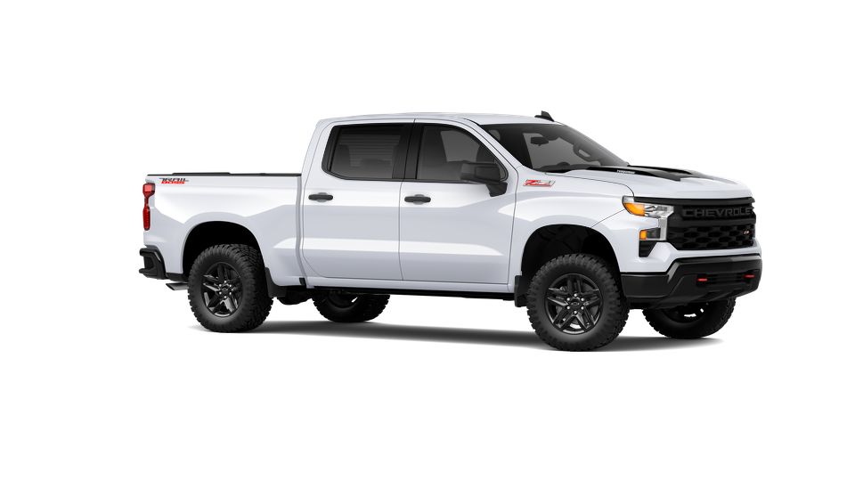 2024 Chevrolet Silverado 1500 Vehicle Photo in BRUNSWICK, GA 31525-1881