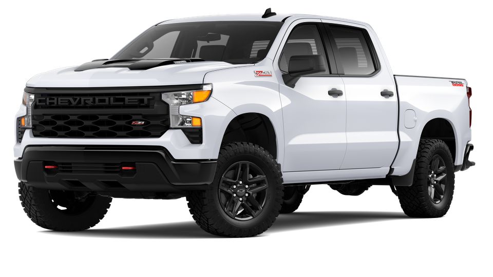 2024 Chevrolet Silverado 1500 Vehicle Photo in BRUNSWICK, GA 31525-1881