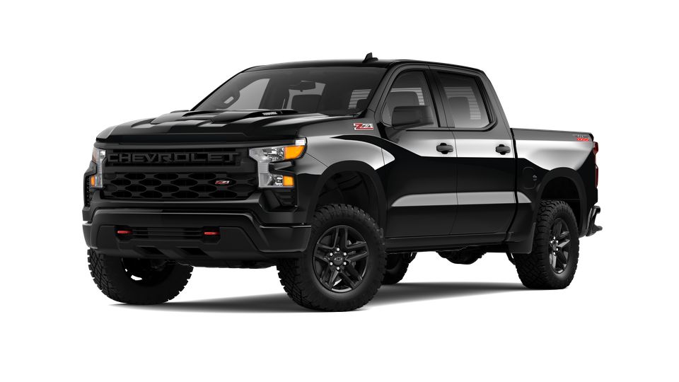 2024 Chevrolet Silverado 1500 Vehicle Photo in Brunswick, GA 31525