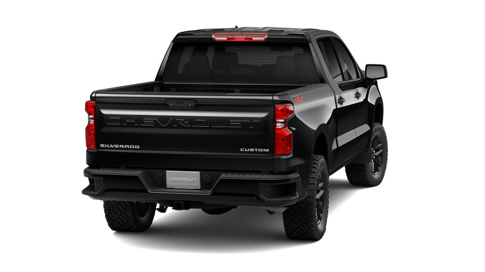 2024 Chevrolet Silverado 1500 Vehicle Photo in Brunswick, GA 31525