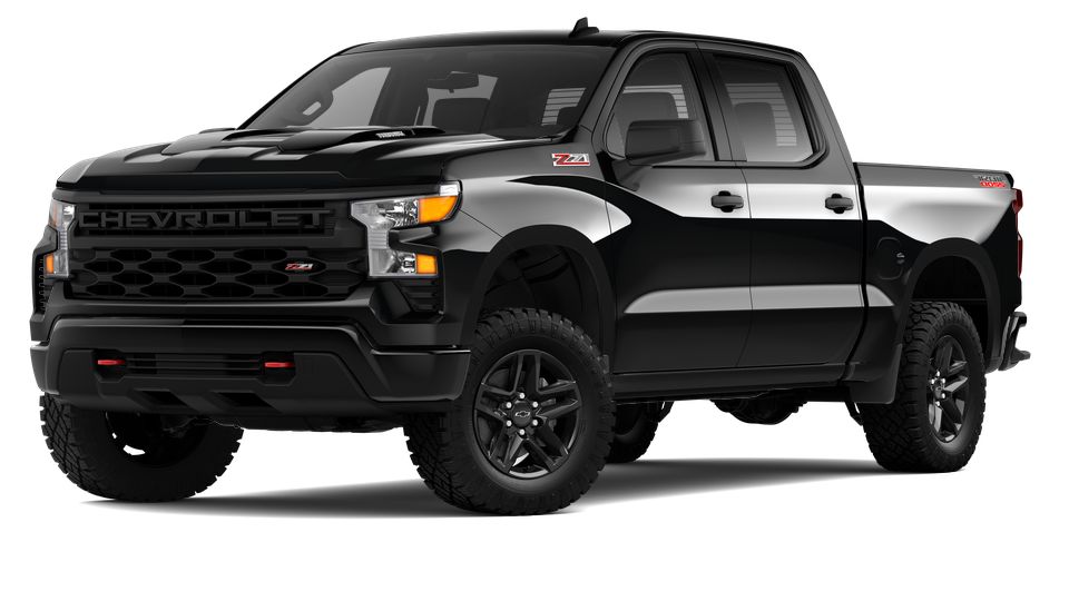 2024 Chevrolet Silverado 1500 Vehicle Photo in Brunswick, GA 31525