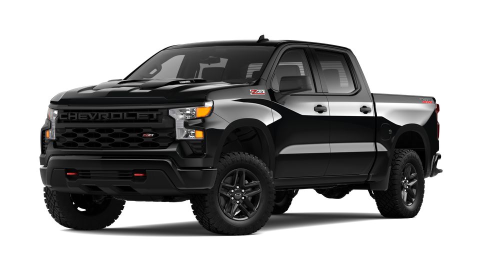 2024 Chevrolet Silverado 1500 Vehicle Photo in Brunswick, GA 31525