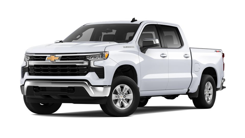2024 Chevrolet Silverado 1500 Vehicle Photo in Savannah, GA 31419