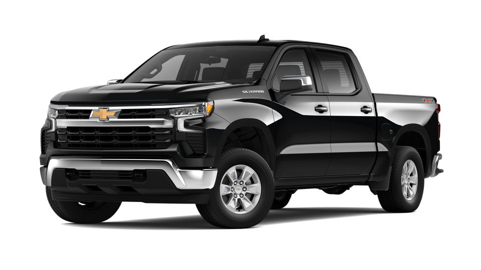 2024 Chevrolet Silverado 1500 Vehicle Photo in SELMA, TX 78154-1459