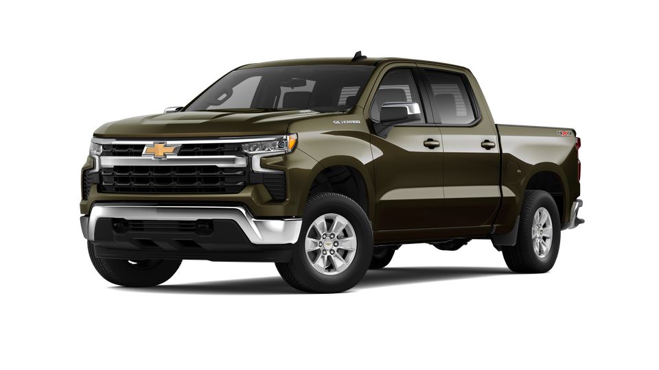 2024 Chevrolet Silverado 1500 Vehicle Photo in LEESBURG, FL 34788-4022
