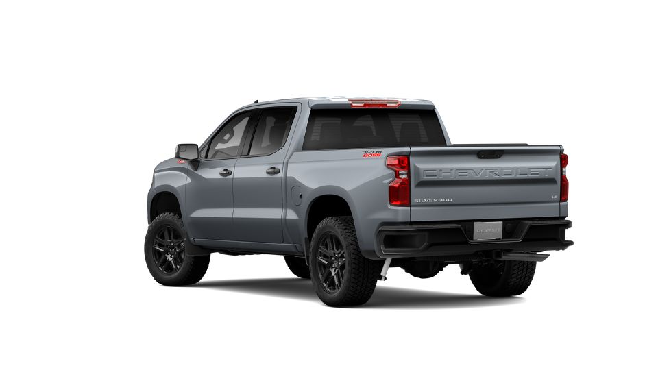 2024 Chevrolet Silverado 1500 Vehicle Photo in Decatur, TX 76234