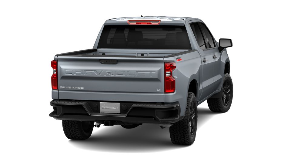2024 Chevrolet Silverado 1500 Vehicle Photo in Decatur, TX 76234