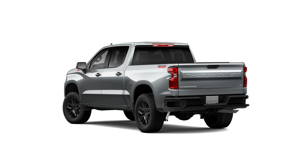 2024 Chevrolet Silverado 1500 Vehicle Photo in SELMA, TX 78154-1459