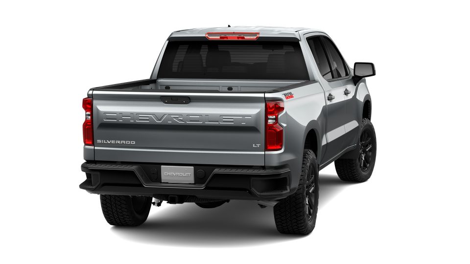 2024 Chevrolet Silverado 1500 Vehicle Photo in SELMA, TX 78154-1459