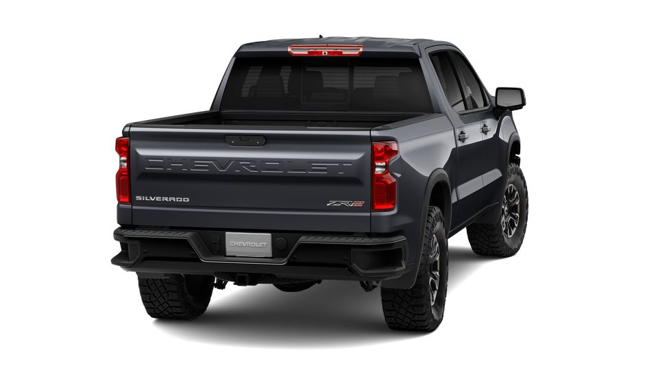 2024 Chevrolet Silverado 1500 Vehicle Photo in SELMA, TX 78154-1460