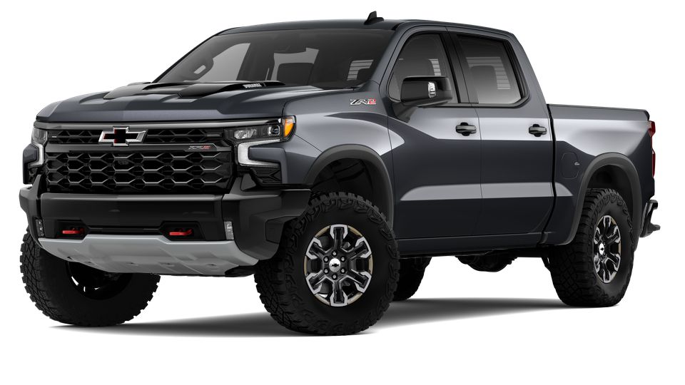 2024 Chevrolet Silverado 1500 Vehicle Photo in SELMA, TX 78154-1460