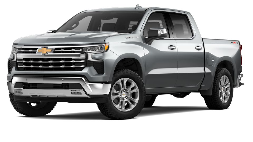 2024 Chevrolet Silverado 1500 Vehicle Photo in Decatur, TX 76234