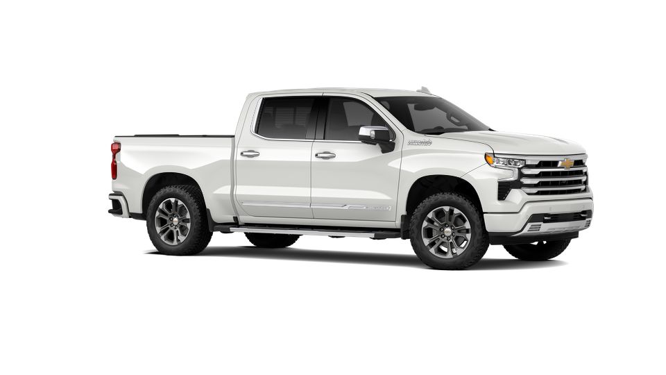 2024 Chevrolet Silverado 1500 Vehicle Photo in SELMA, TX 78154-1460