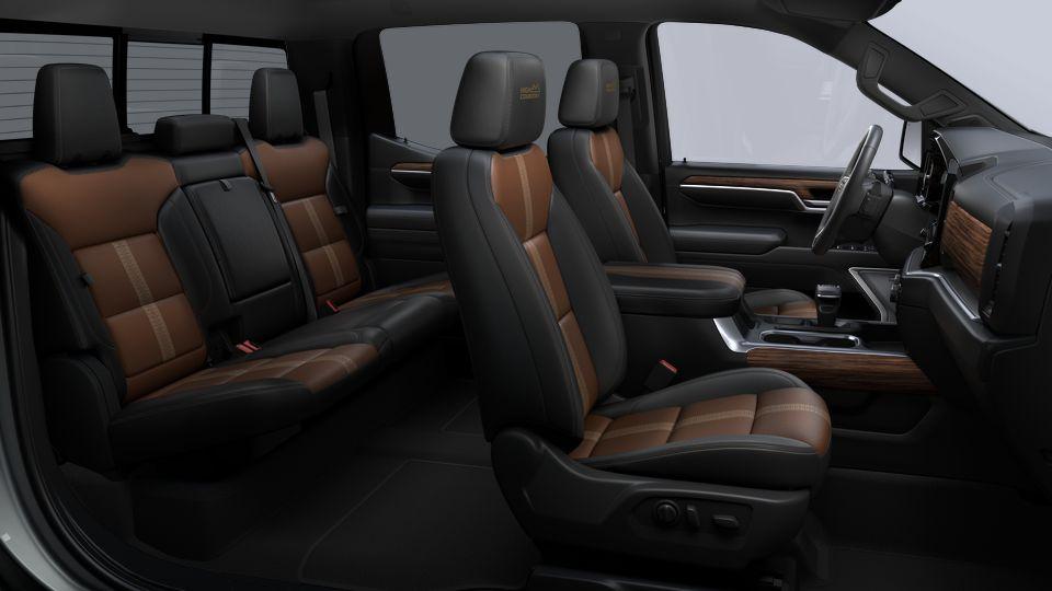 2024 Chevrolet Silverado 1500 Vehicle Photo in Decatur, TX 76234