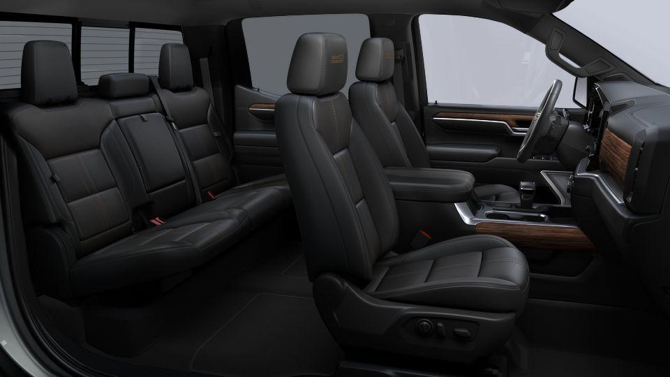 2024 Chevrolet Silverado 1500 Vehicle Photo in DENTON, TX 76210-9321