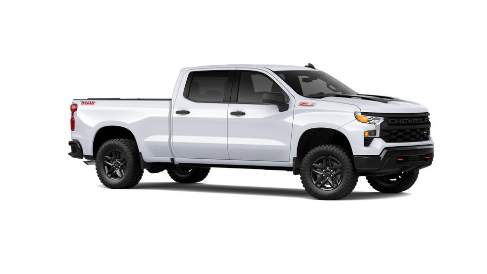 2024 Chevrolet Silverado 1500 Vehicle Photo in COLUMBIA, MO 65203-3903