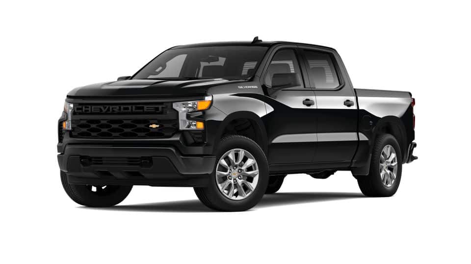 2025 Chevrolet Silverado 1500 Vehicle Photo in LEESBURG, FL 34788-4022