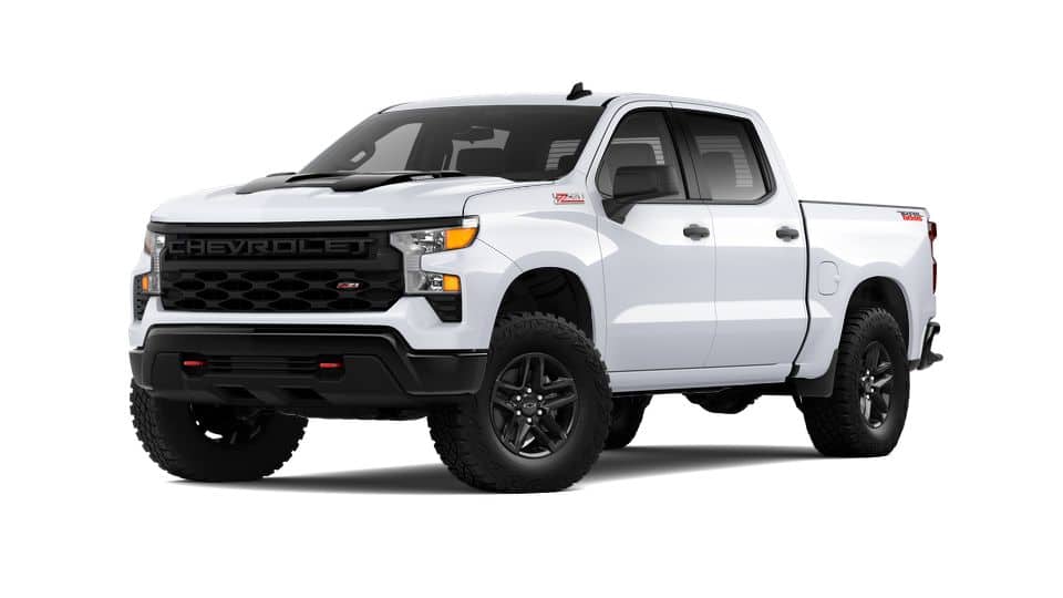 2025 Chevrolet Silverado 1500 Vehicle Photo in MANITOWOC, WI 54220-5838