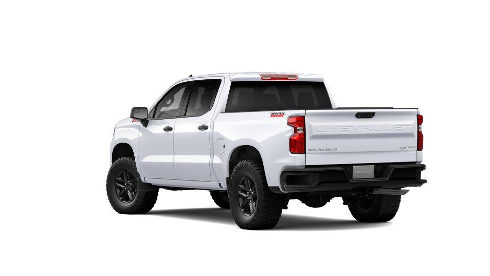 2025 Chevrolet Silverado 1500 Vehicle Photo in MANITOWOC, WI 54220-5838