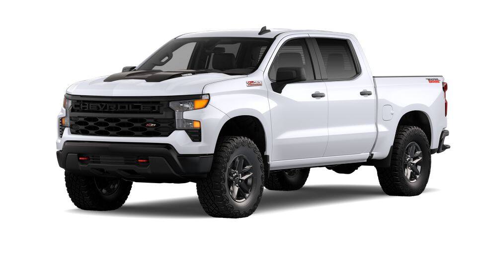 2025 Chevrolet Silverado 1500 Vehicle Photo in MANITOWOC, WI 54220-5838