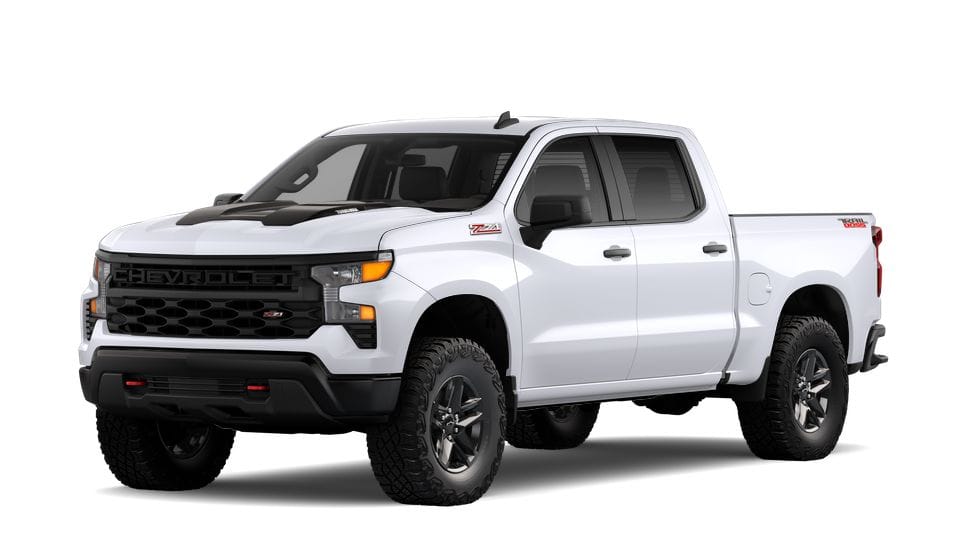 2025 Chevrolet Silverado 1500 Vehicle Photo in MANITOWOC, WI 54220-5838