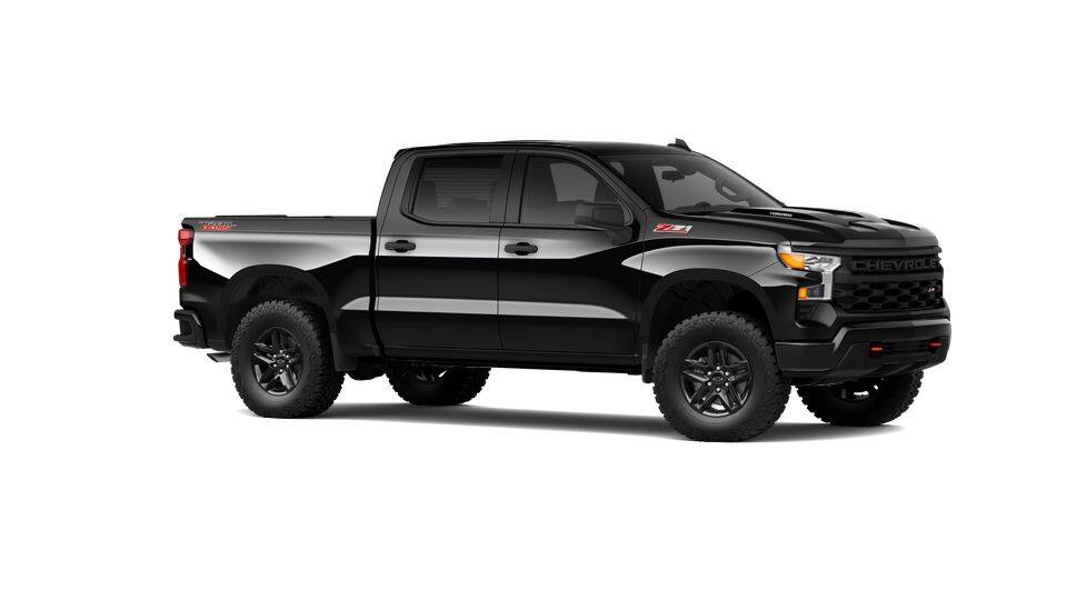 2025 Chevrolet Silverado 1500 Vehicle Photo in HAYS, KS 67601-1994