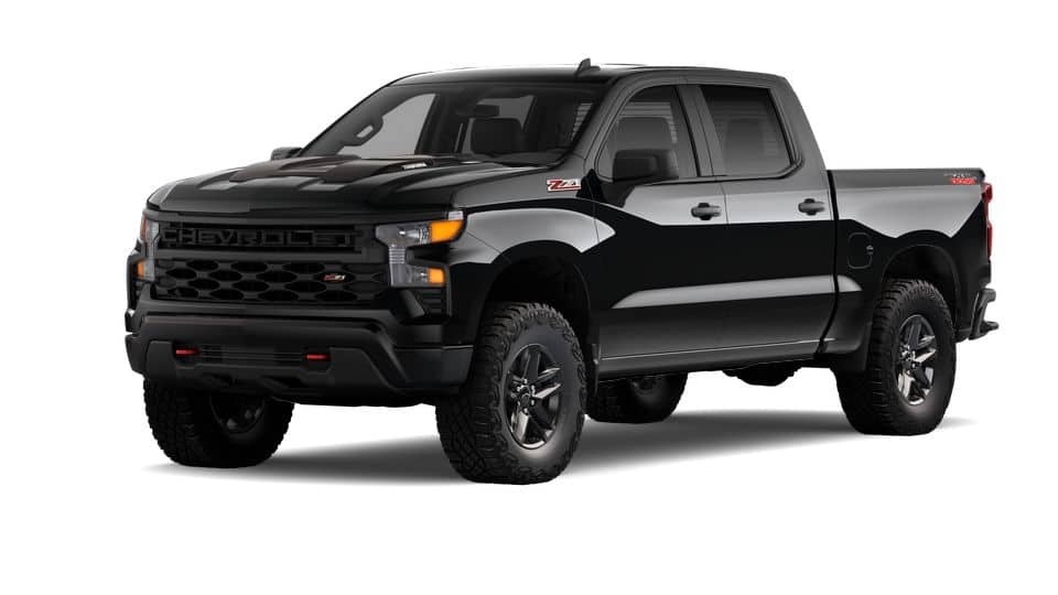 2025 Chevrolet Silverado 1500 Vehicle Photo in HAYS, KS 67601-1994