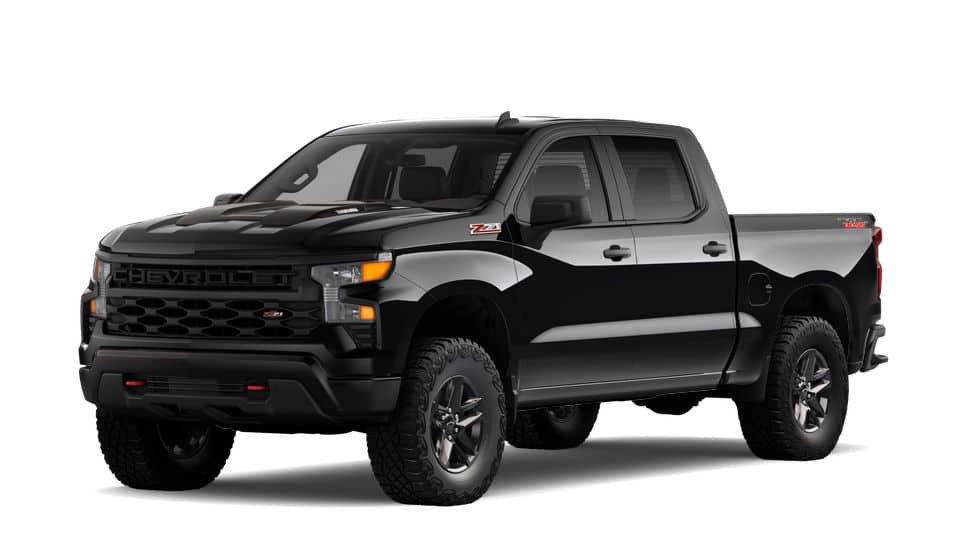 2025 Chevrolet Silverado 1500 Vehicle Photo in HAYS, KS 67601-1994
