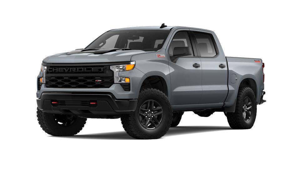 2025 Chevrolet Silverado 1500 Vehicle Photo in SAVANNAH, GA 31406-4513