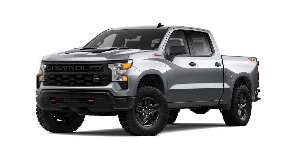 2025 Chevrolet Silverado 1500 Vehicle Photo in Decatur, TX 76234