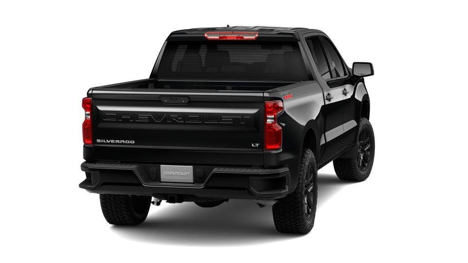 2025 Chevrolet Silverado 1500 Vehicle Photo in San Antonio, TX 78238