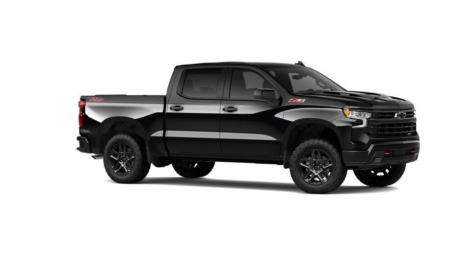 2025 Chevrolet Silverado 1500 Vehicle Photo in San Antonio, TX 78238
